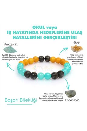 Mystic Energy Doğal Taş Başarı Öğrenci Tılsım Bilekliği|labradorit-amazonit-s...