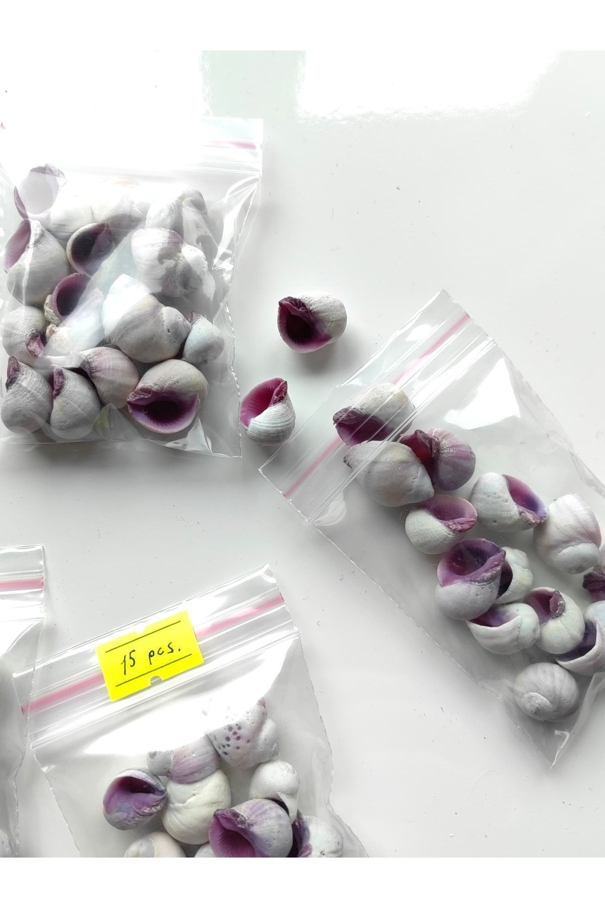 Seashell Rio-Tiny Seashells: Cebu Beuty / 1-2 Cm / 15 Pieces 3