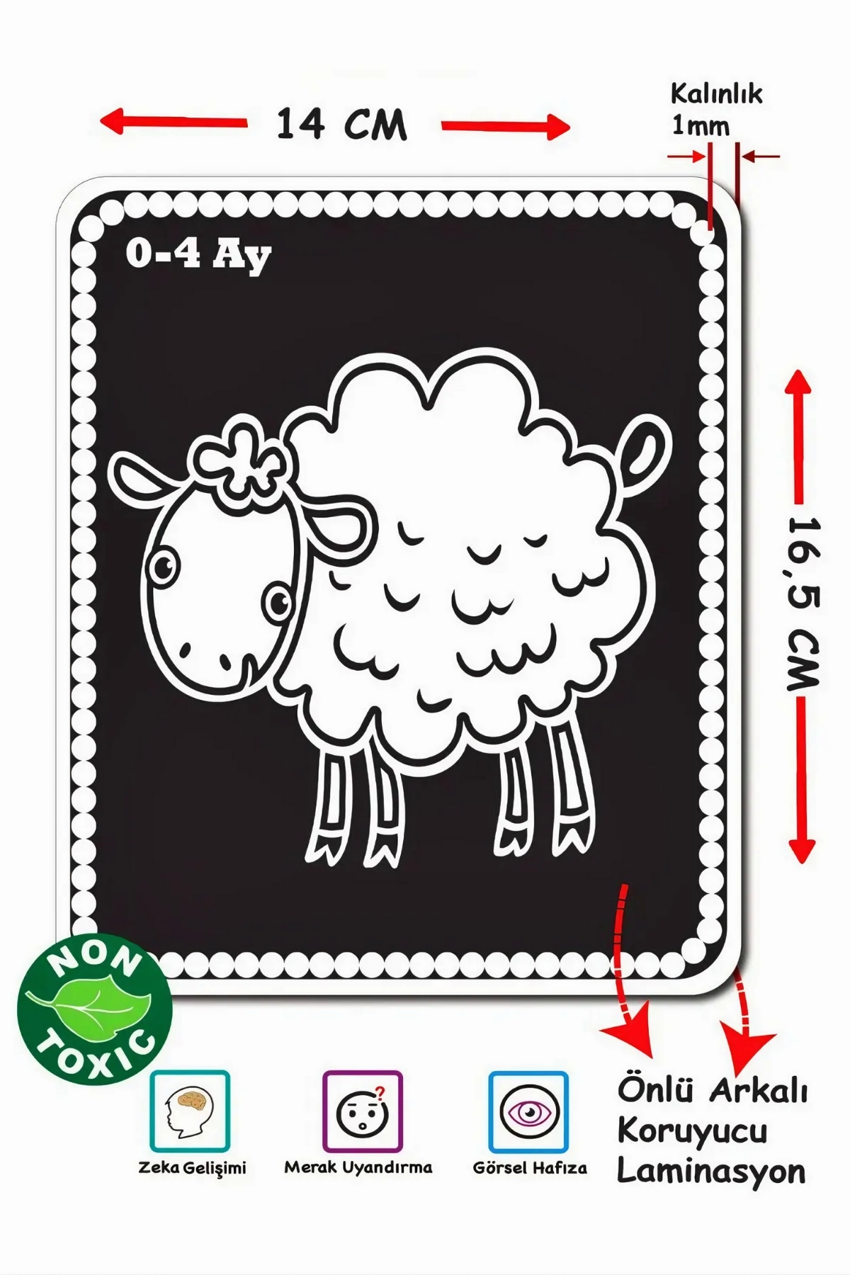 Apexma Eğitici Bebeğimin İlk Zeka Kartları - Bebekler İçin Resimli İlk Aktivite Zeka Kart Oyun Seti 0-12 Ay fotoğrafı 3 (önizleme)