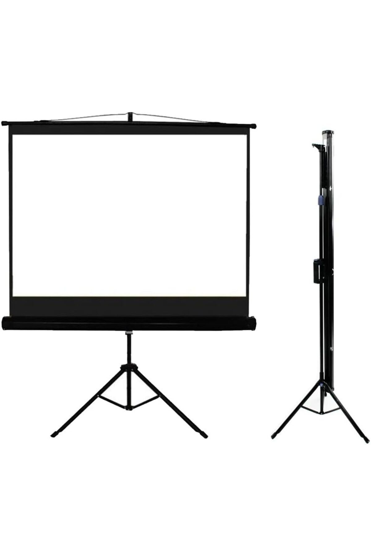CODEGEN Tx-18 180X180 Cm Tripod Projeksiyon Perdesi