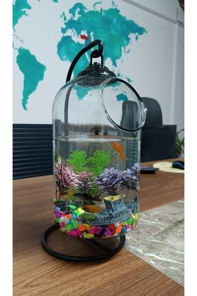 KOÇER Ferforjeli Akvaryum Askılı Fanus Teraryum Ofis Ev Hediyelik Orta Boy He...