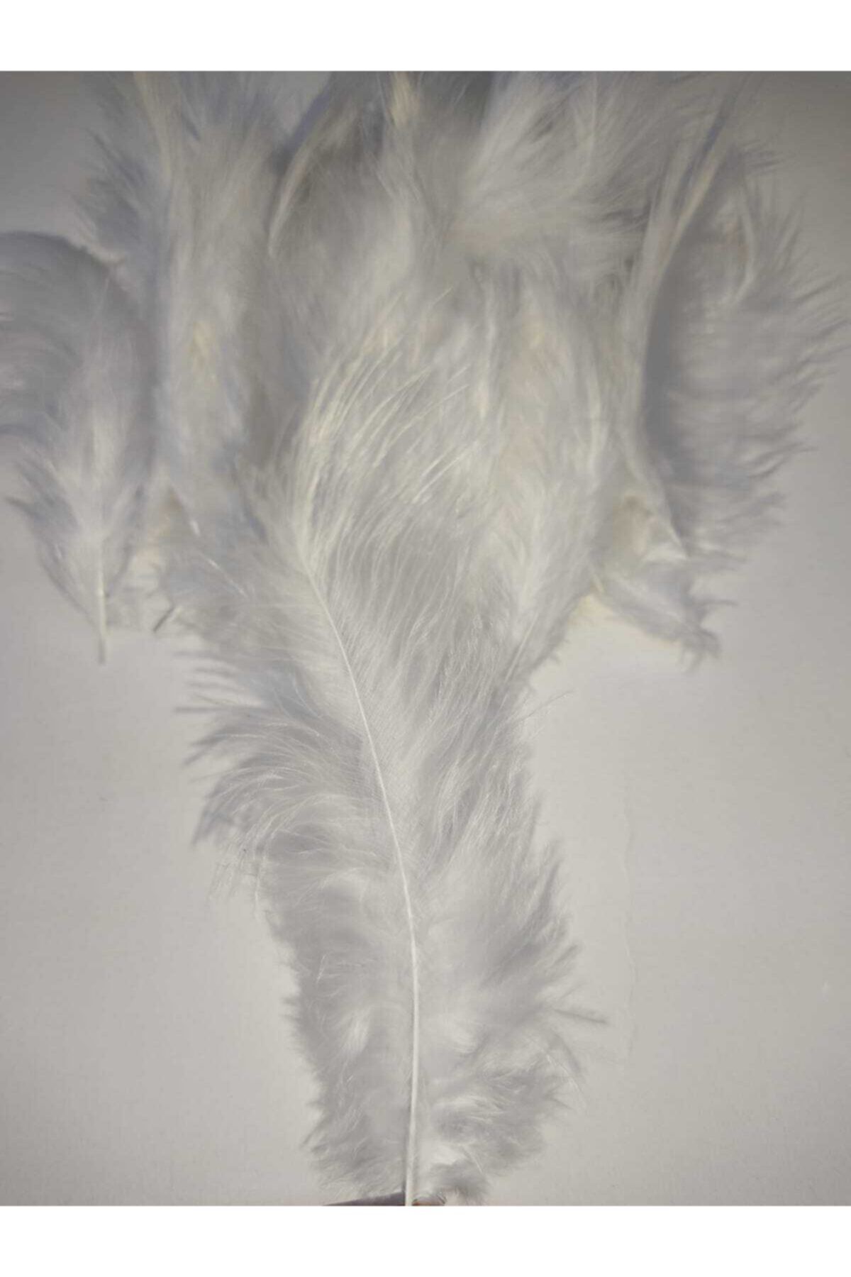 poil doiseau blanc 100