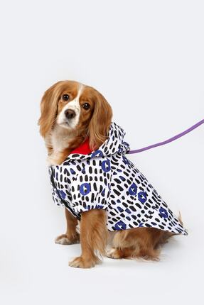 Petperson Rain Drop Köpek Yağmurluğu/montu - Köpek Kıyafeti