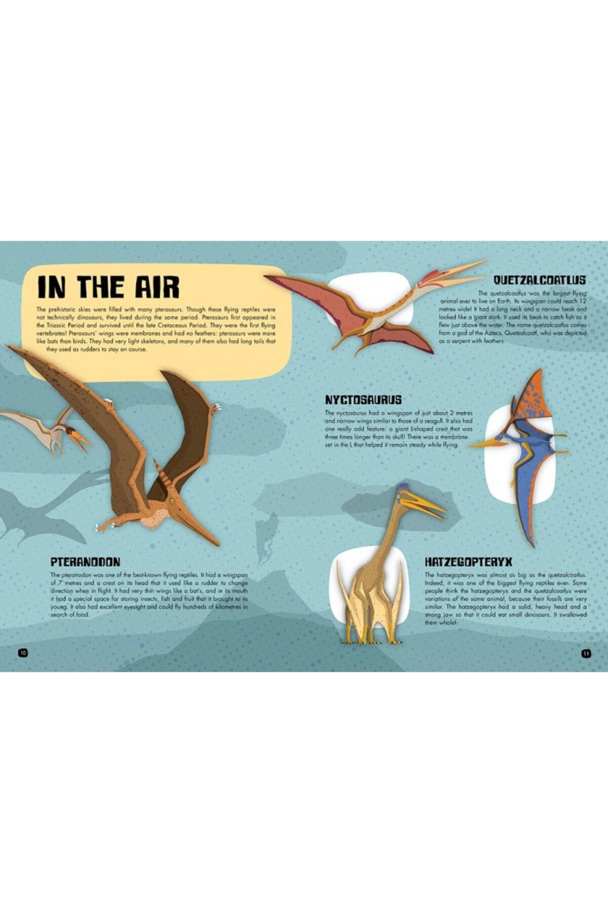 Sassi Junior-Sassi Travel - Learn and Explore - the World of Dinosaurs. 3