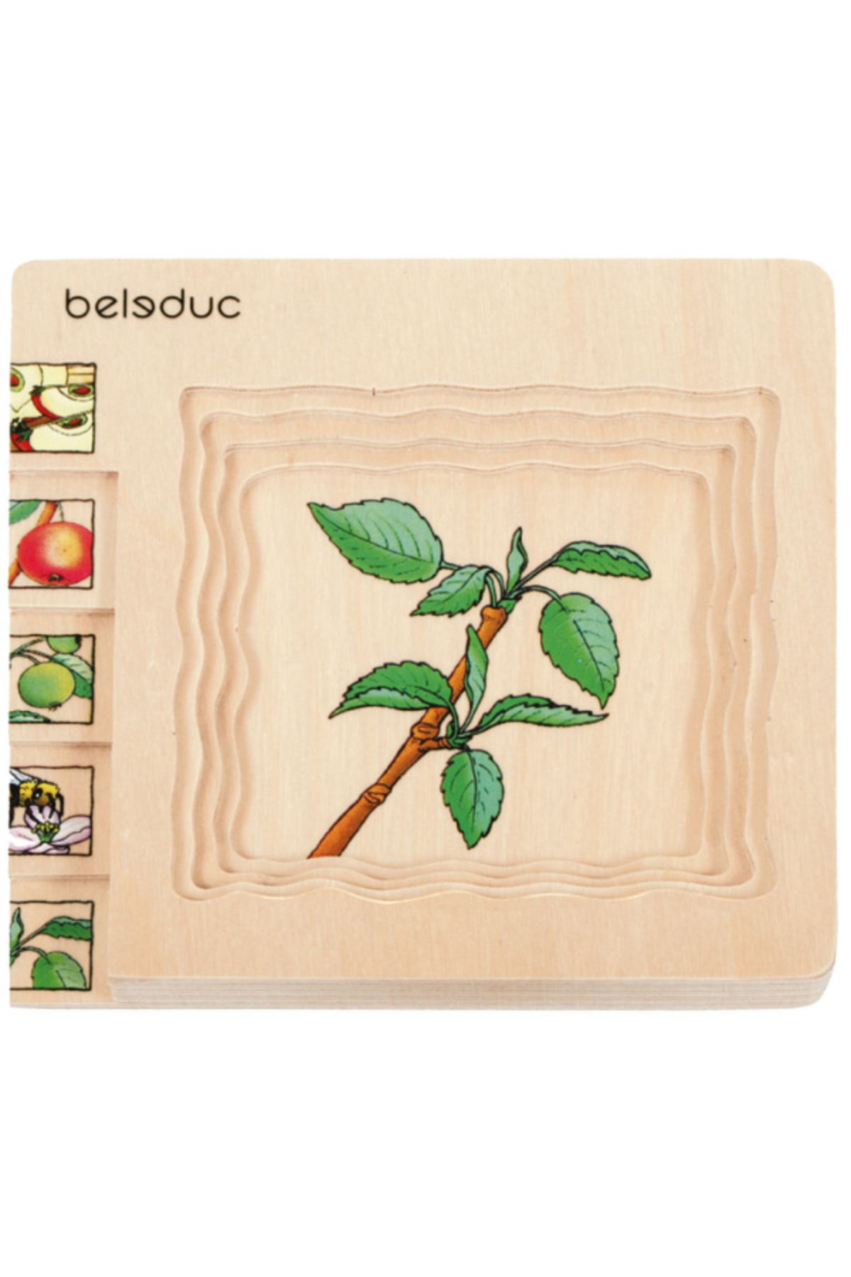 Beleduc Oluşum Puzzle - Elma