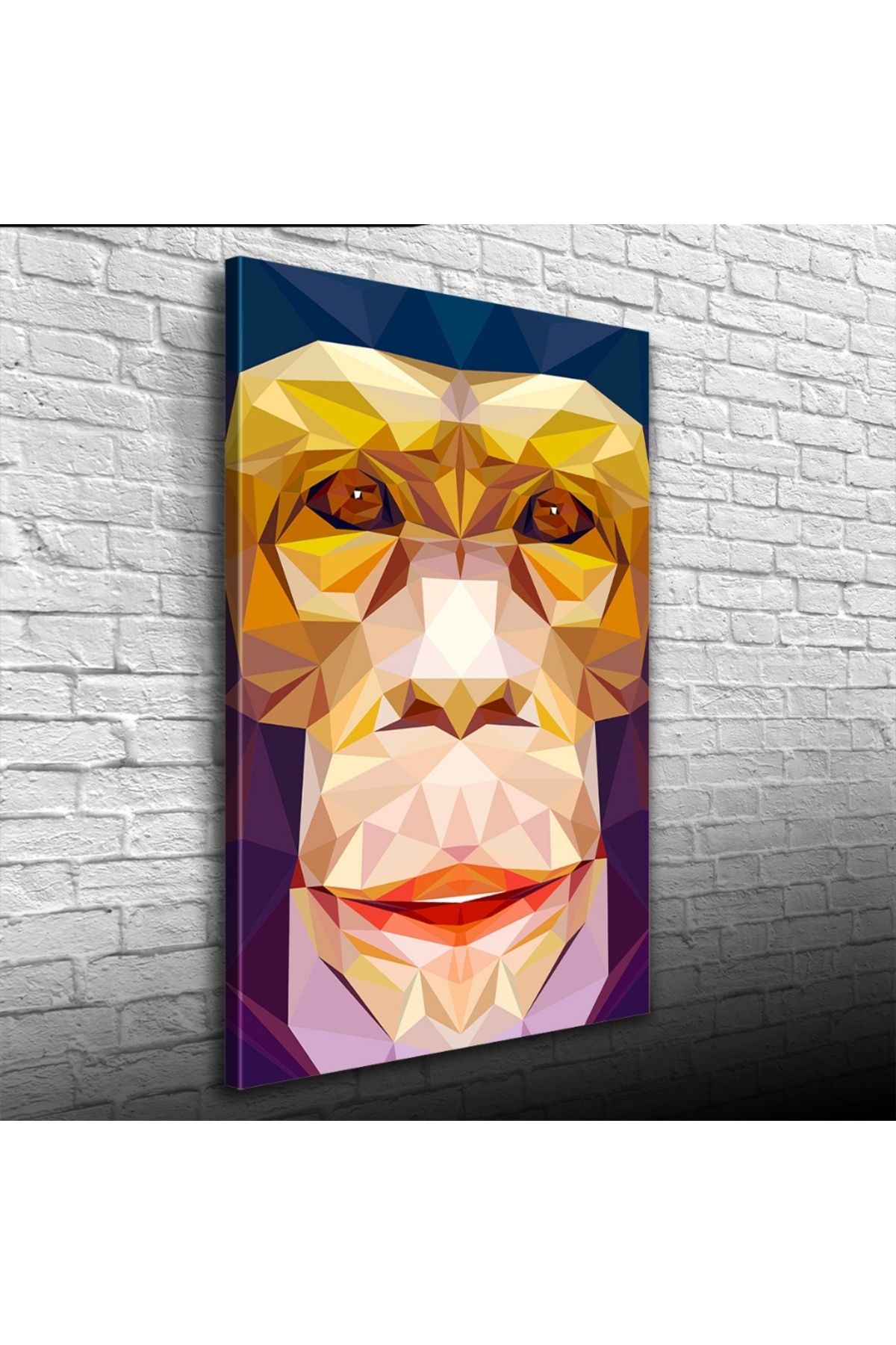pazarella Soyut Maymun Figürü Kanvas Tablo 50 x 70