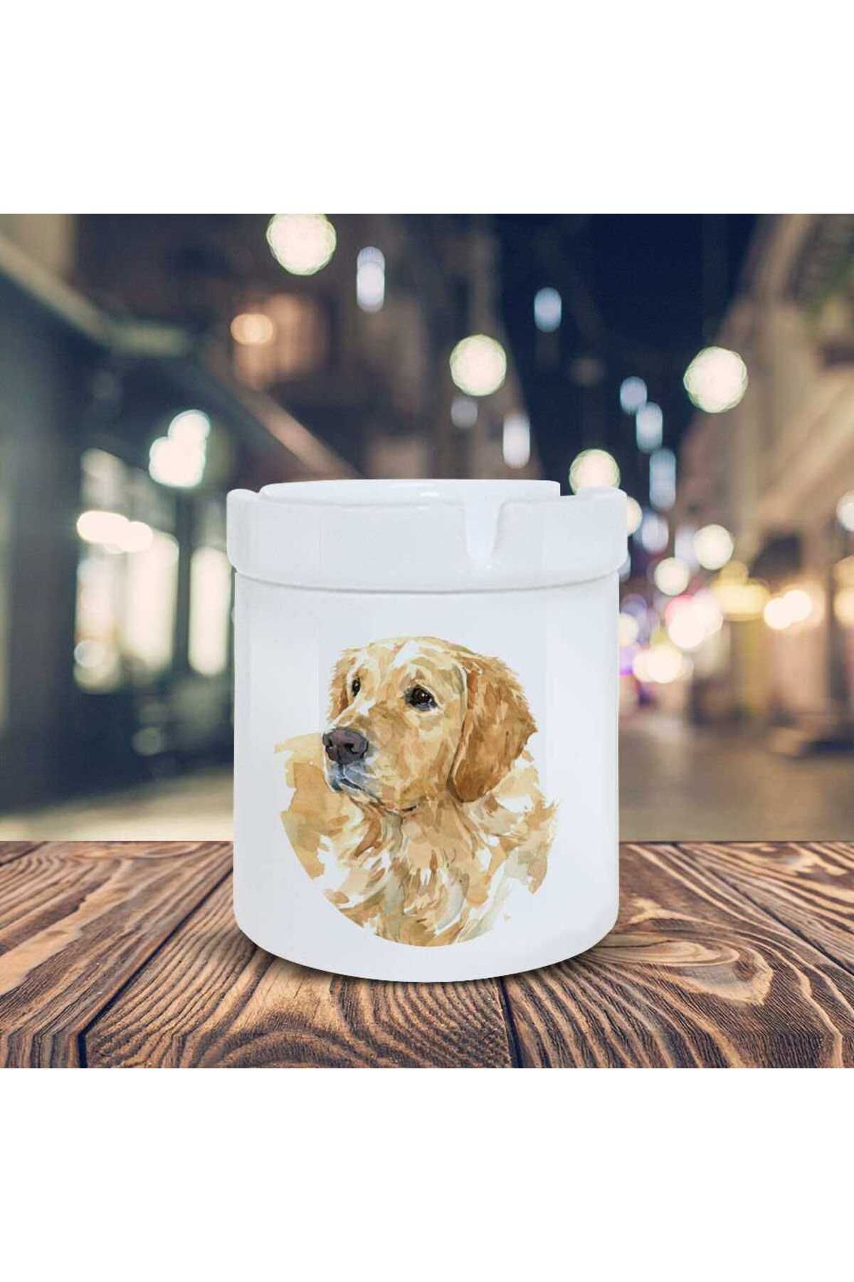 Asilmeydan Çizimsel Küllük Golden Sevimli Köpek Baskılı Kül Tablası Kl-206