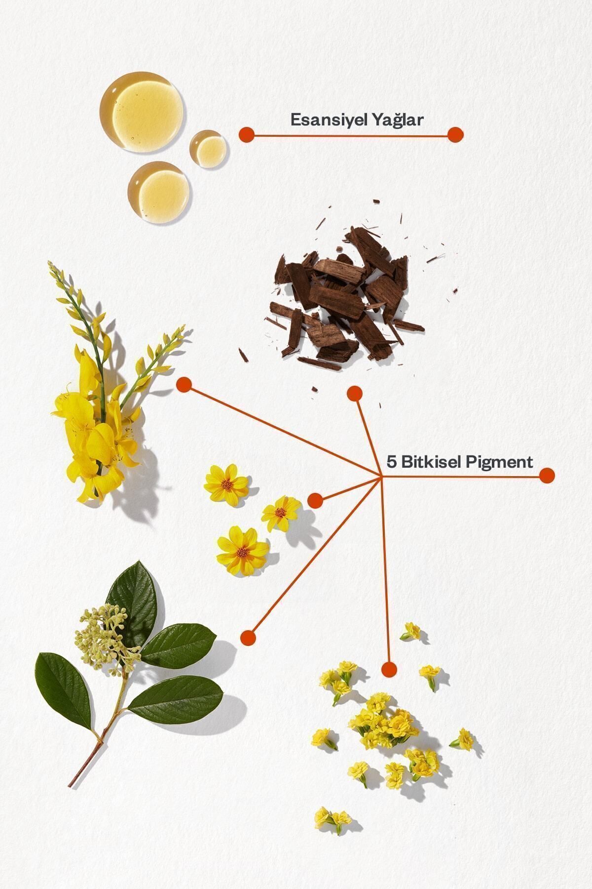 Phyto-Phytocolor 5 Light Chestnut Ammoniakfreie dauerhafte pflanzliche Haarfärbemittel 2