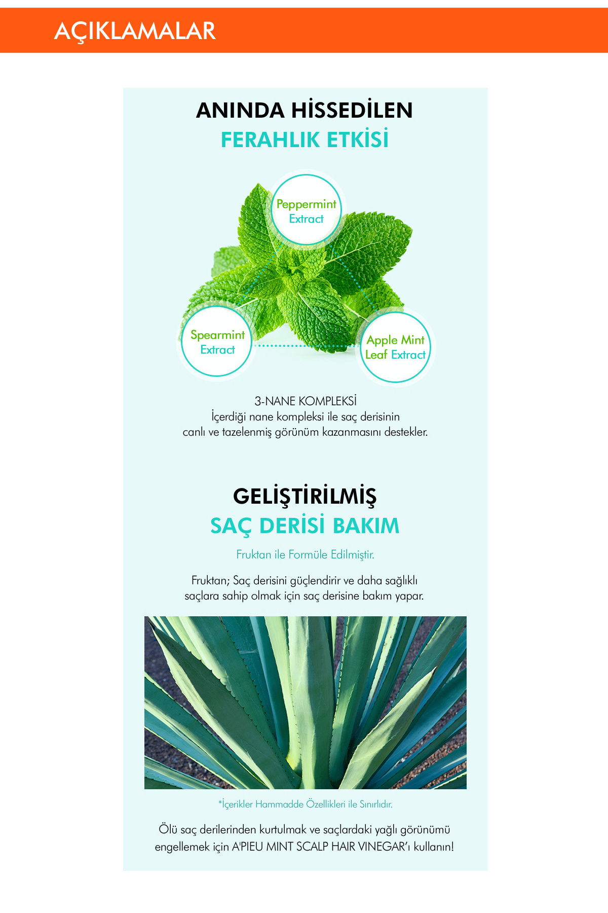 Nane Kompleksi İçeren Kepek Karşıtı  Saç Sirkesi 200ml Mint Scalp Hair Vinegar — 6027 — تصویر 4 از 7