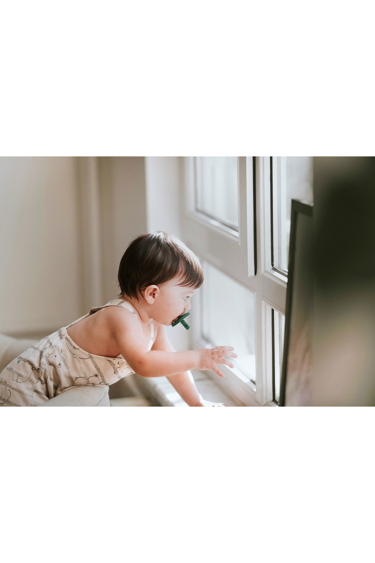 lujobear Safe&joy Emzik Ve Diş Kaşıyıcı 0-6 Ay (stage 1 ) L Pink fotoğrafı 5 (önizleme)