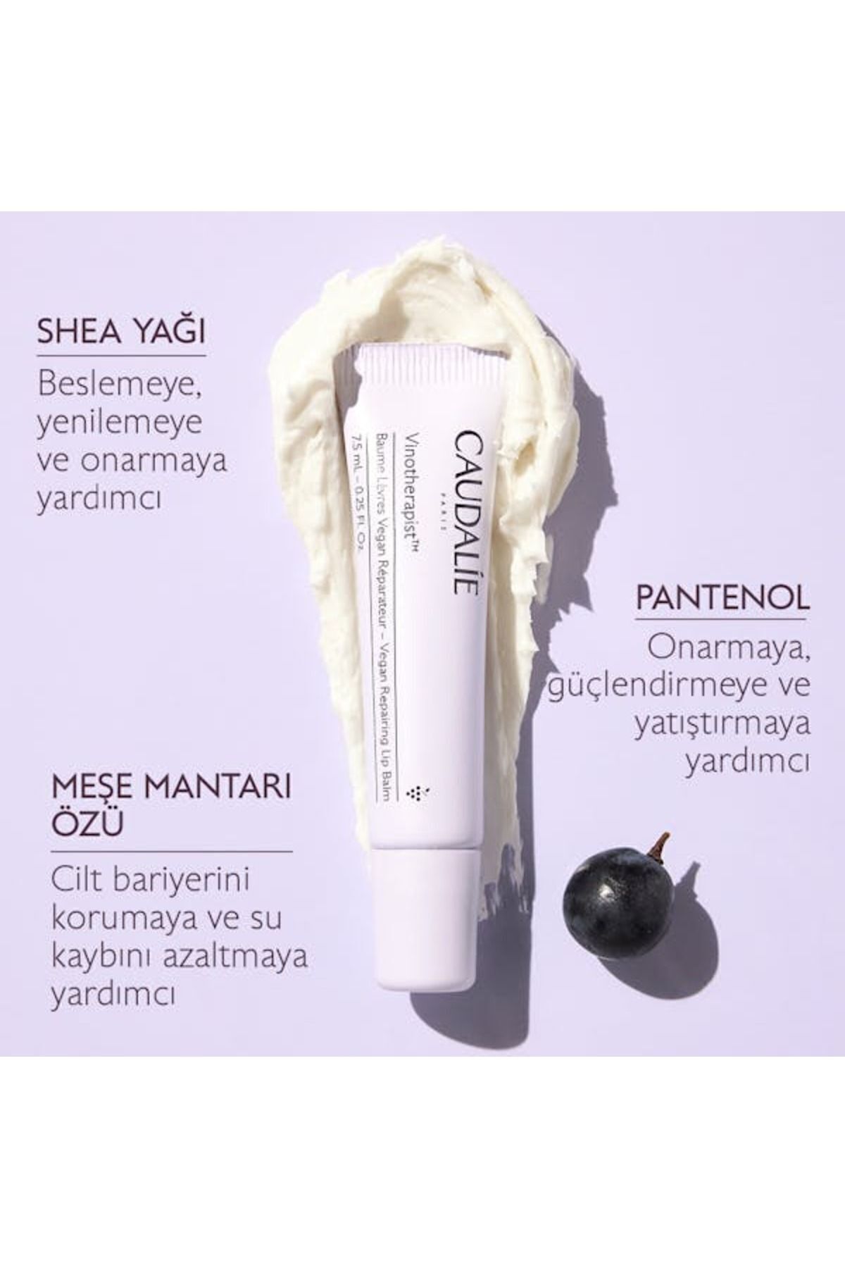 Vinotherapist تعمیر کننده بالم لب گیاهی Caudalie