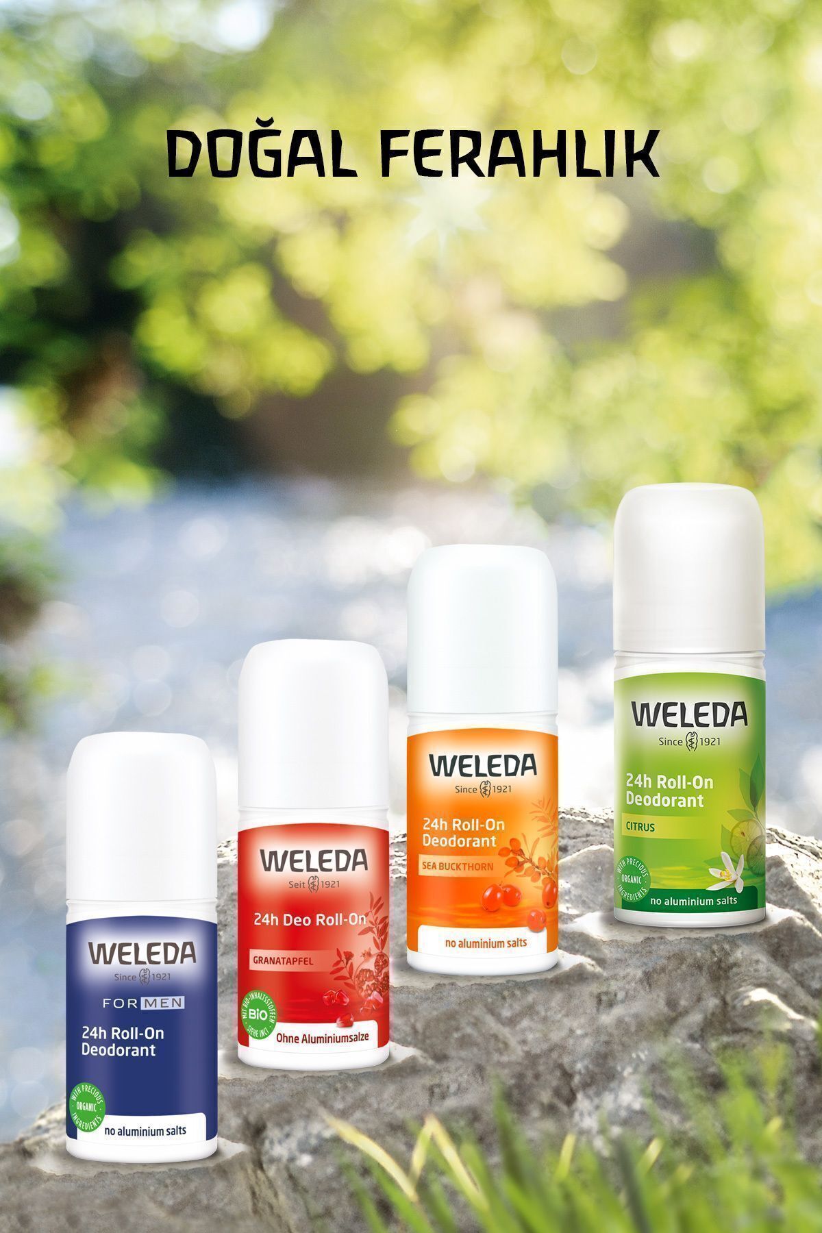 دئودورانت مردانه  Weleda | c0e310aa اورجینال - تصویر 5