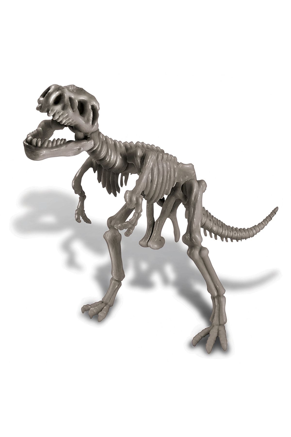 4M-Dig A T-Rex Skeleton Trex Excavation Set 3