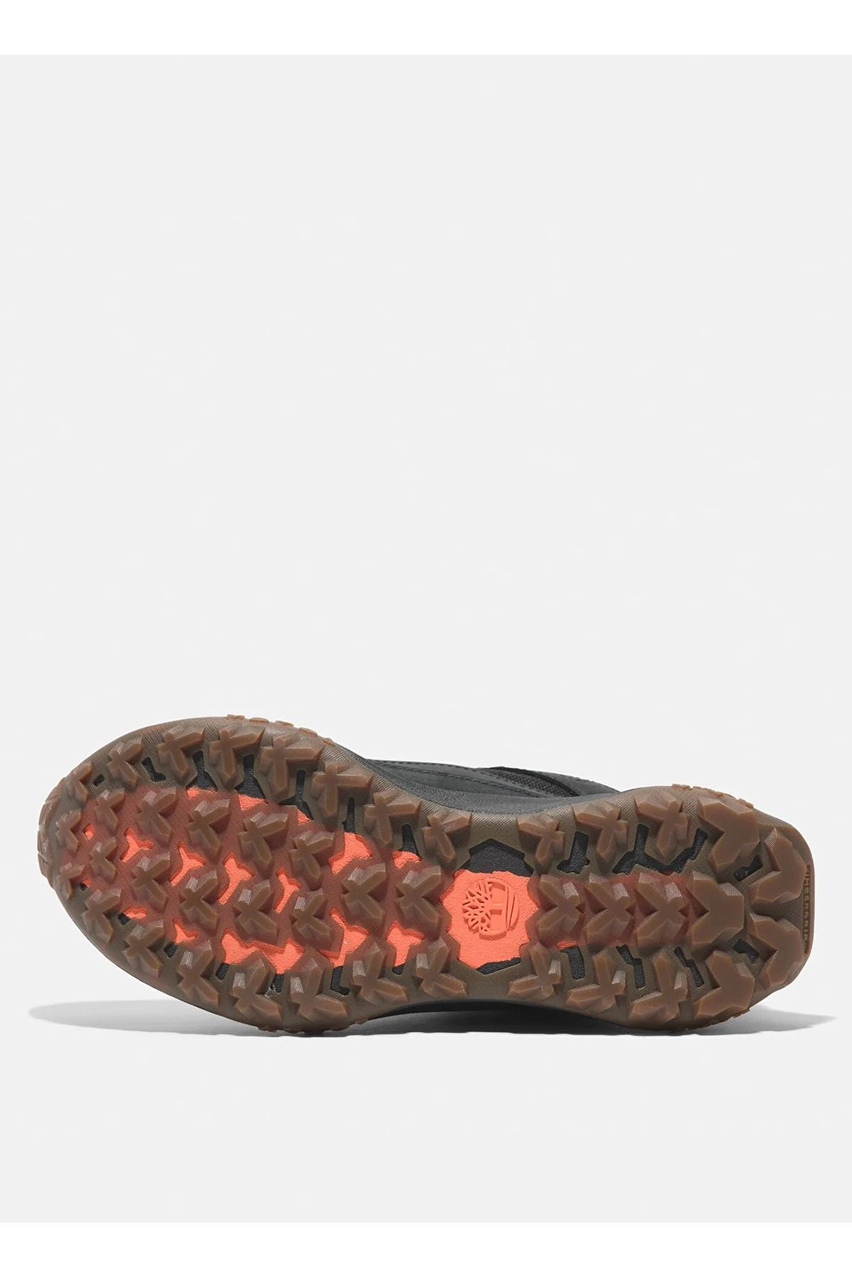کفش های فضای باز سیاه زنانه در زن TB0A2N4BEK91MOTION دسترسی به توری کم Timberland