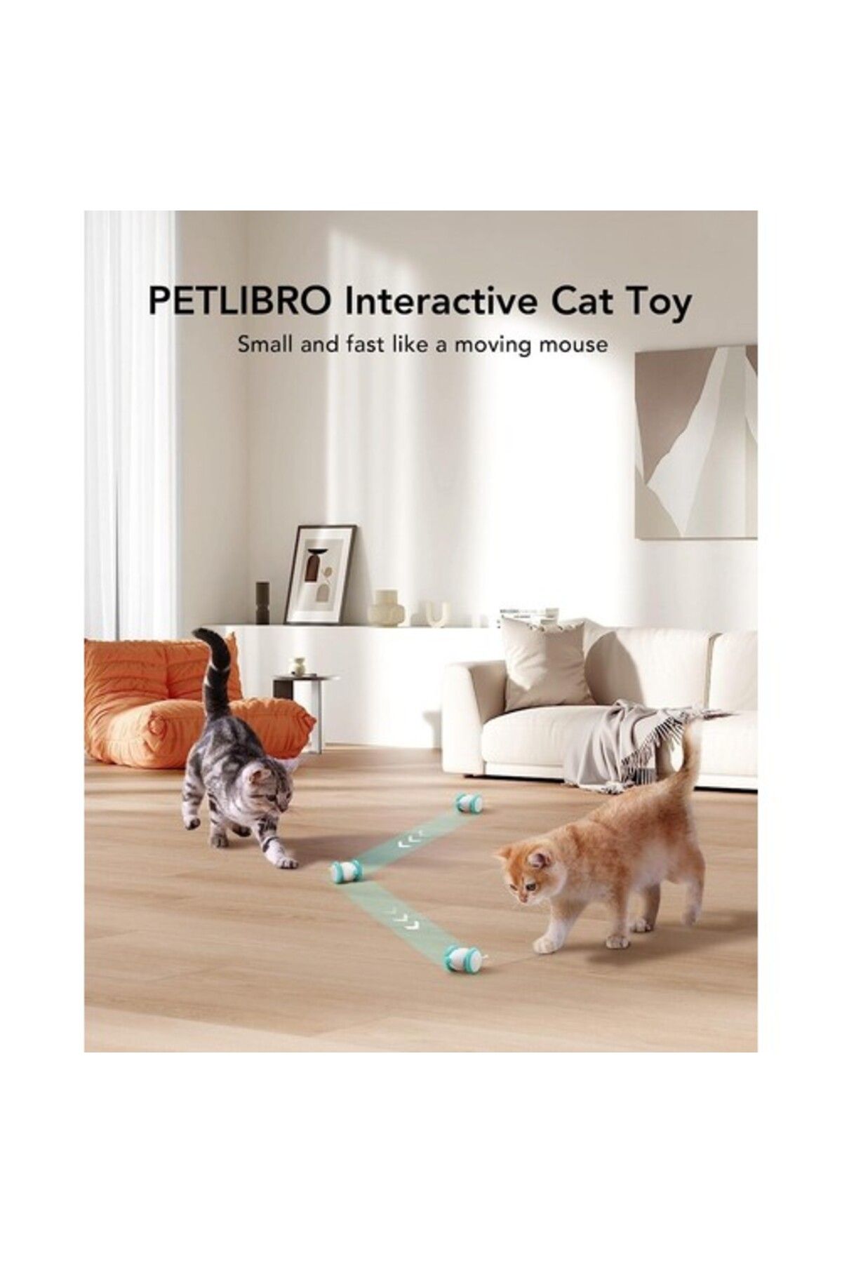 bentopal-Petlibro Pixie Mouse Interactive Robotic Cat Toy 4
