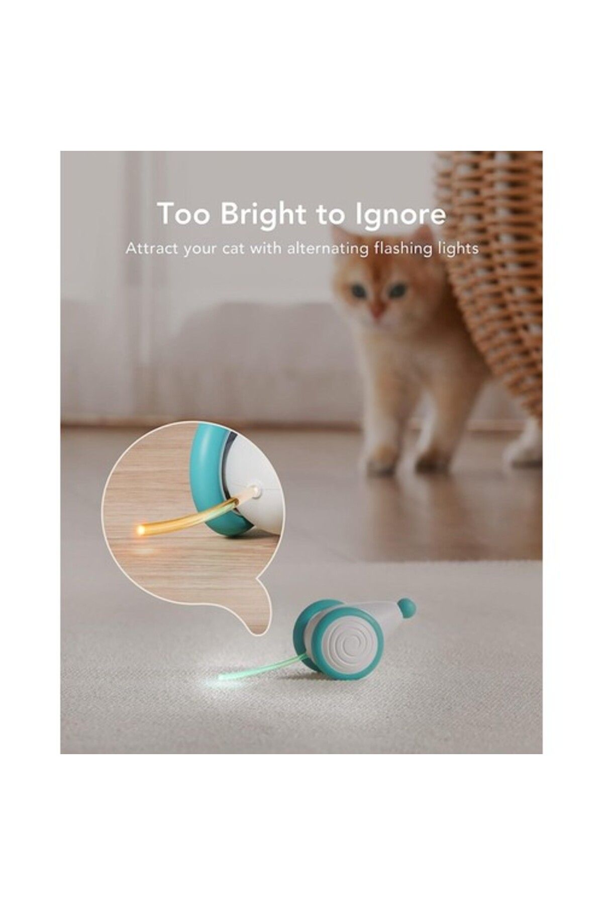 bentopal-Petlibro Pixie Mouse Interactive Robotic Cat Toy 3