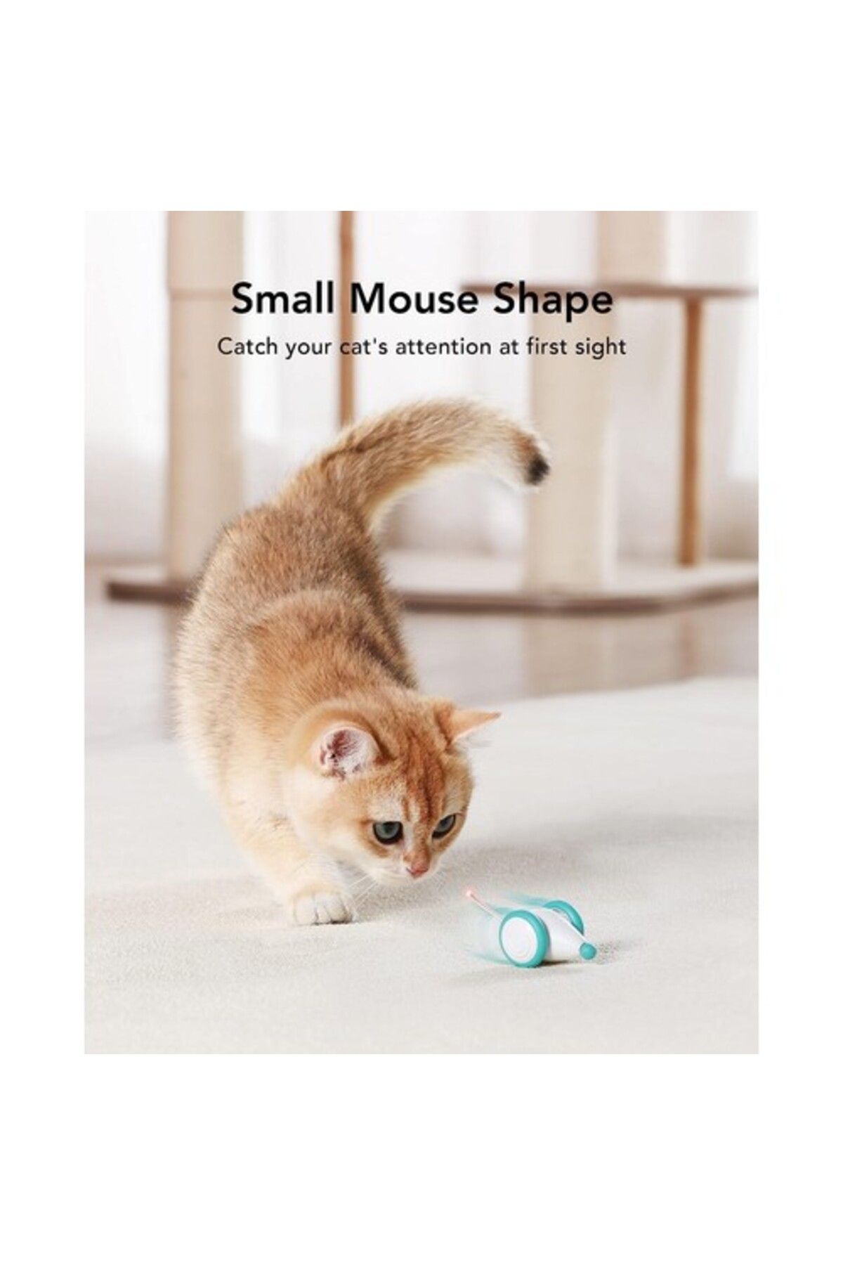 bentopal-Petlibro Pixie Mouse Interactive Robotic Cat Toy 5