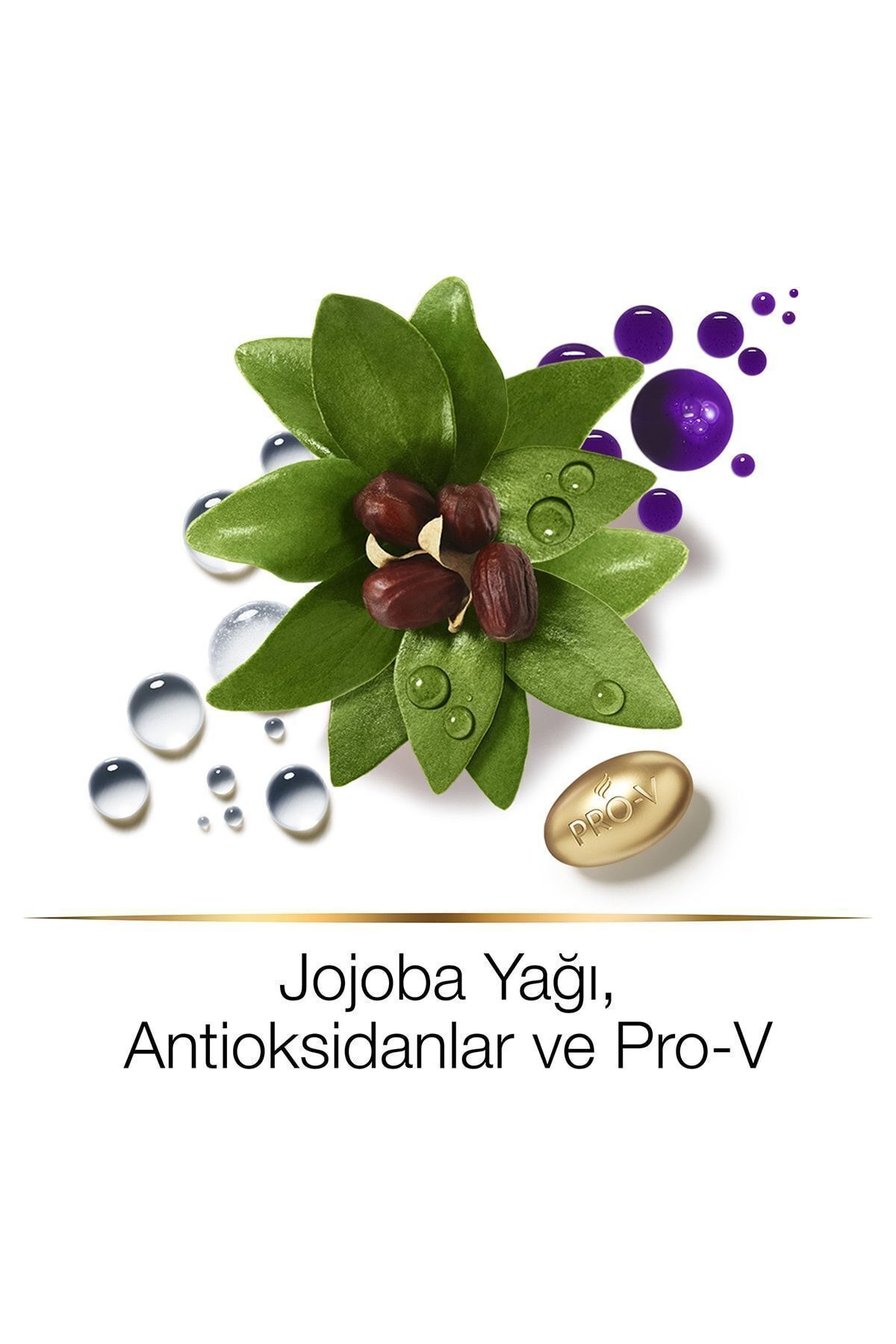 Hair Biology Renk Canlandırıcı ve Parlaklaştırıcı Maske, Sarı Saçlar İçin Mor Şampuan Sonrası, 160ml — 100331410-36064 — تصویر 4 از 8