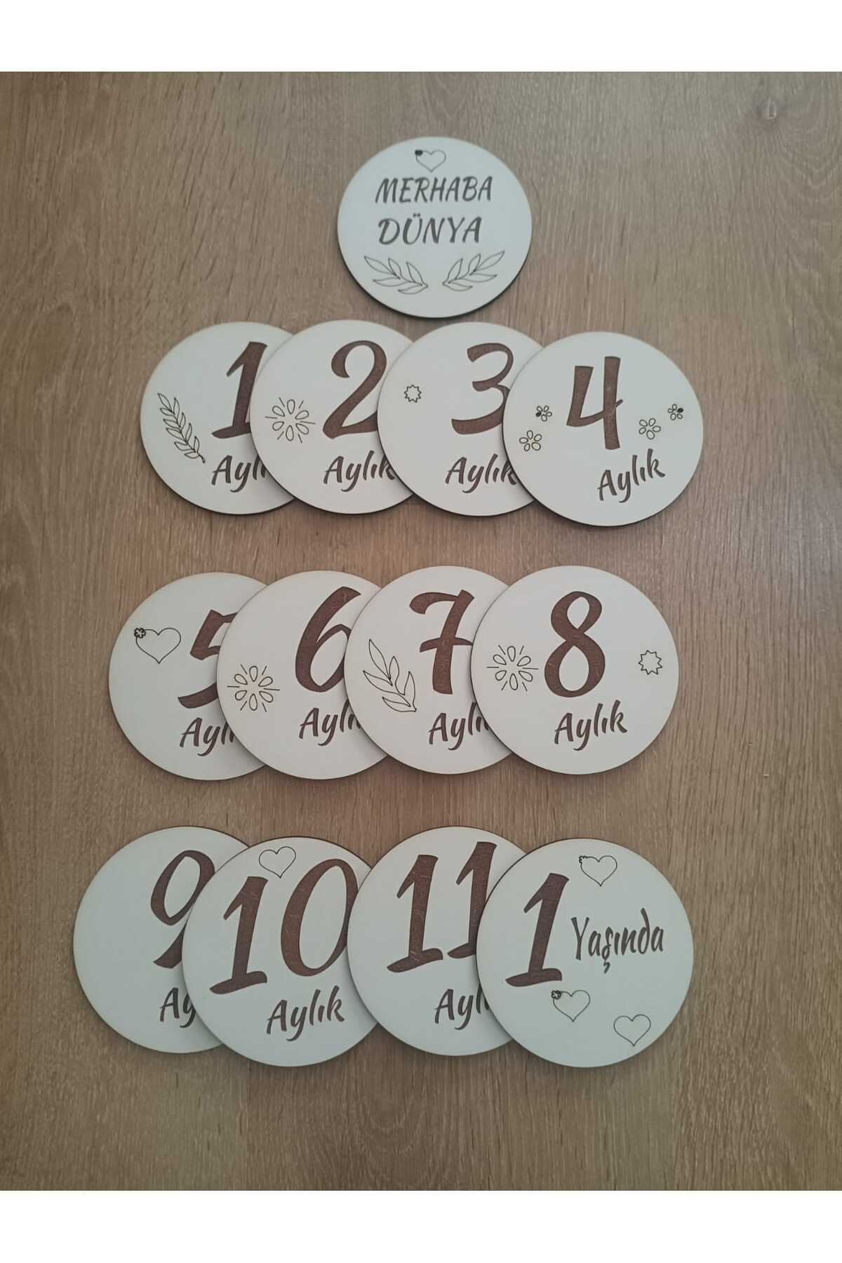 Hello World Monthly Baby Cards Photo Shooting Plate 12 Months
