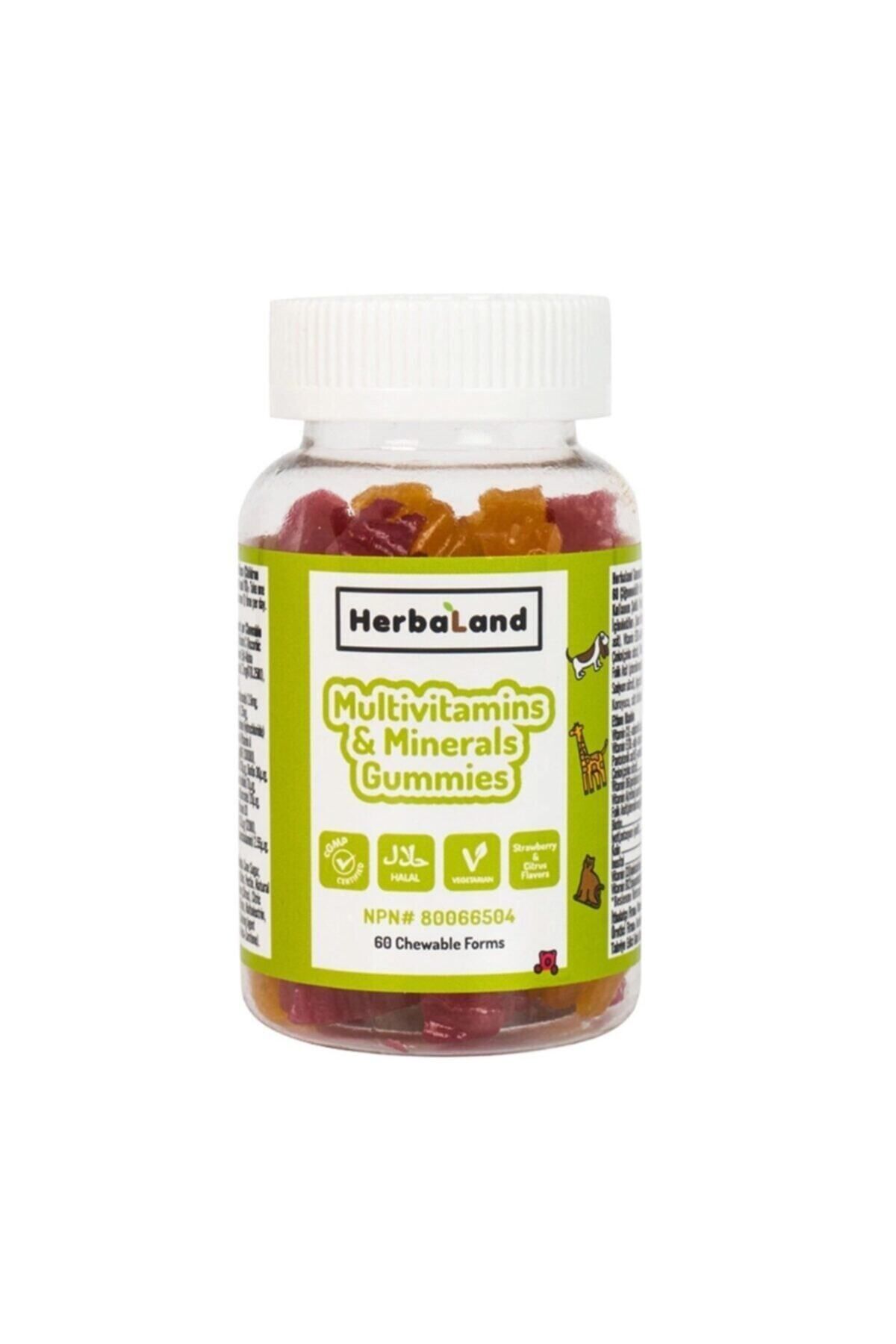 Herbaland-60 Pieces of Multivitamin and Mineral Chewable Form for Children 1