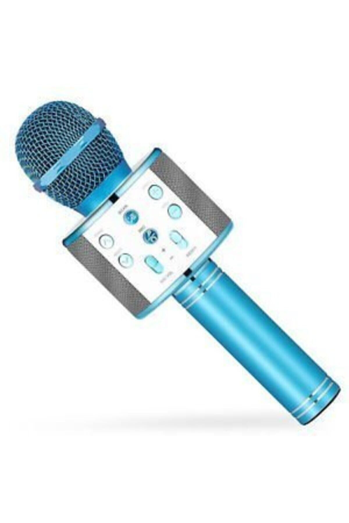 HandHeld-Karaoke Microphone 2