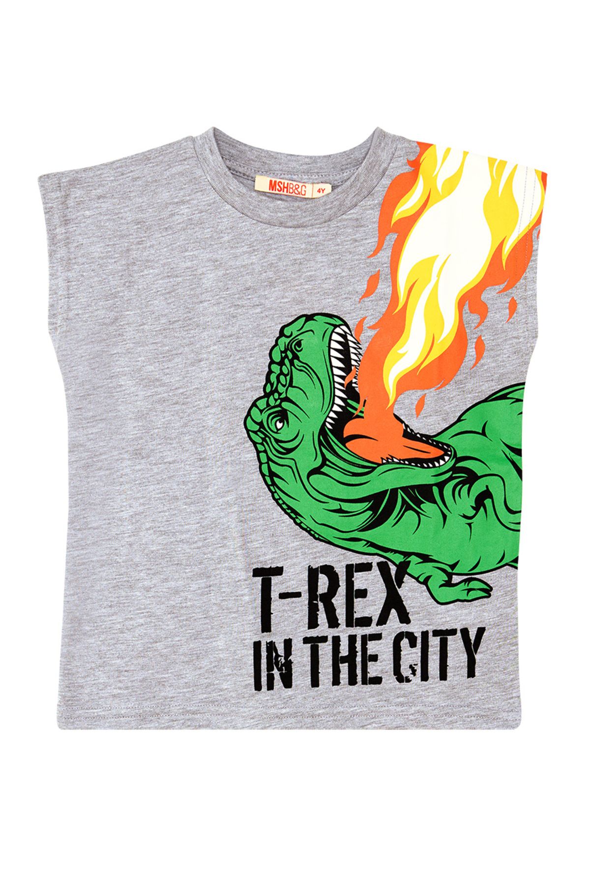 MSHB&G-Letni zestaw T-shirt i spodenki dla chłopca bez rękawów – T-Rex Flame 5