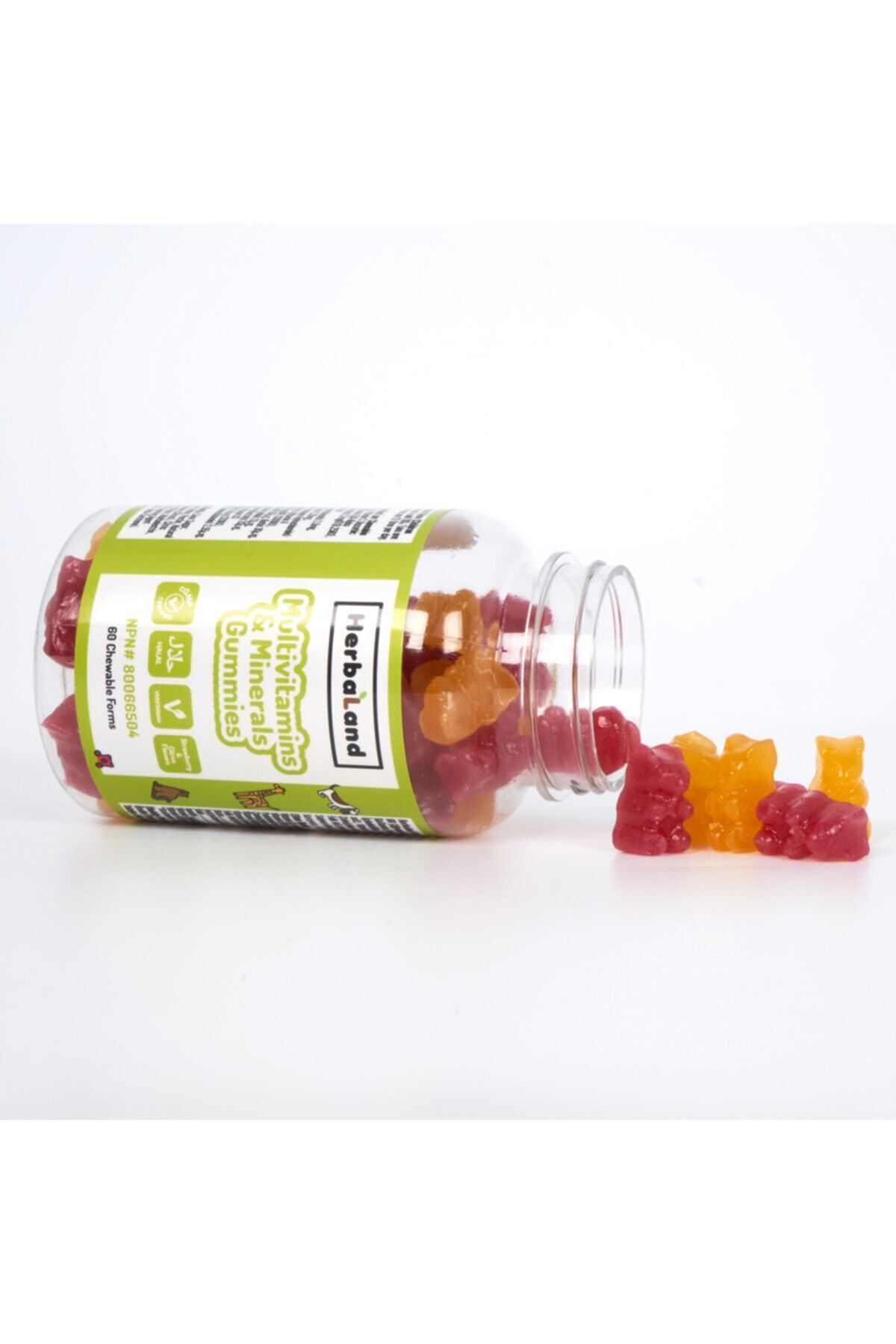 Herbaland-60 Pieces of Multivitamin and Mineral Chewable Form for Children 2