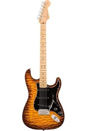 Limited Edition Exotic American Pro Mahogany Stratocaster Quilt 0175105733