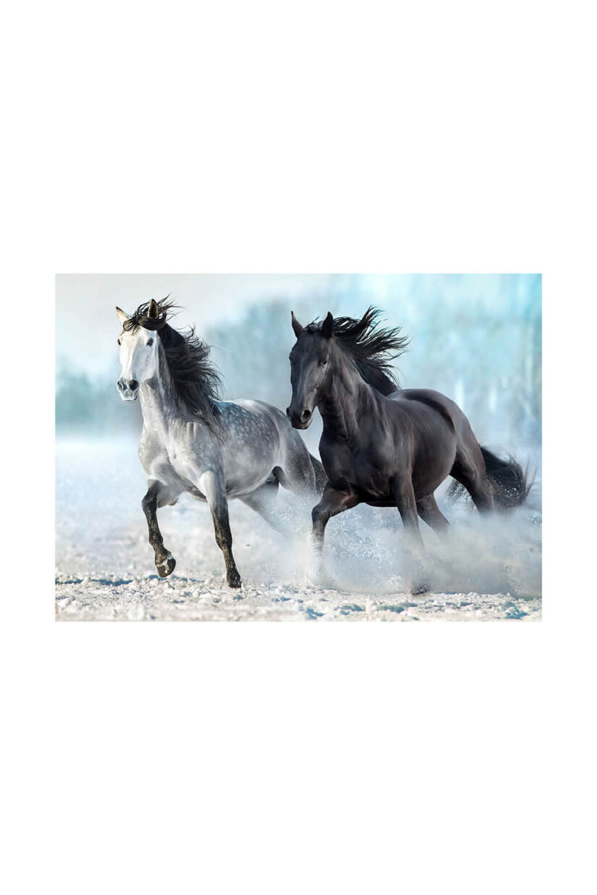 絵画 FOCUS 5 Blue Focus 1000 Parça Puzzle Horses (ATLAR) - Fiyatı, Yorumları