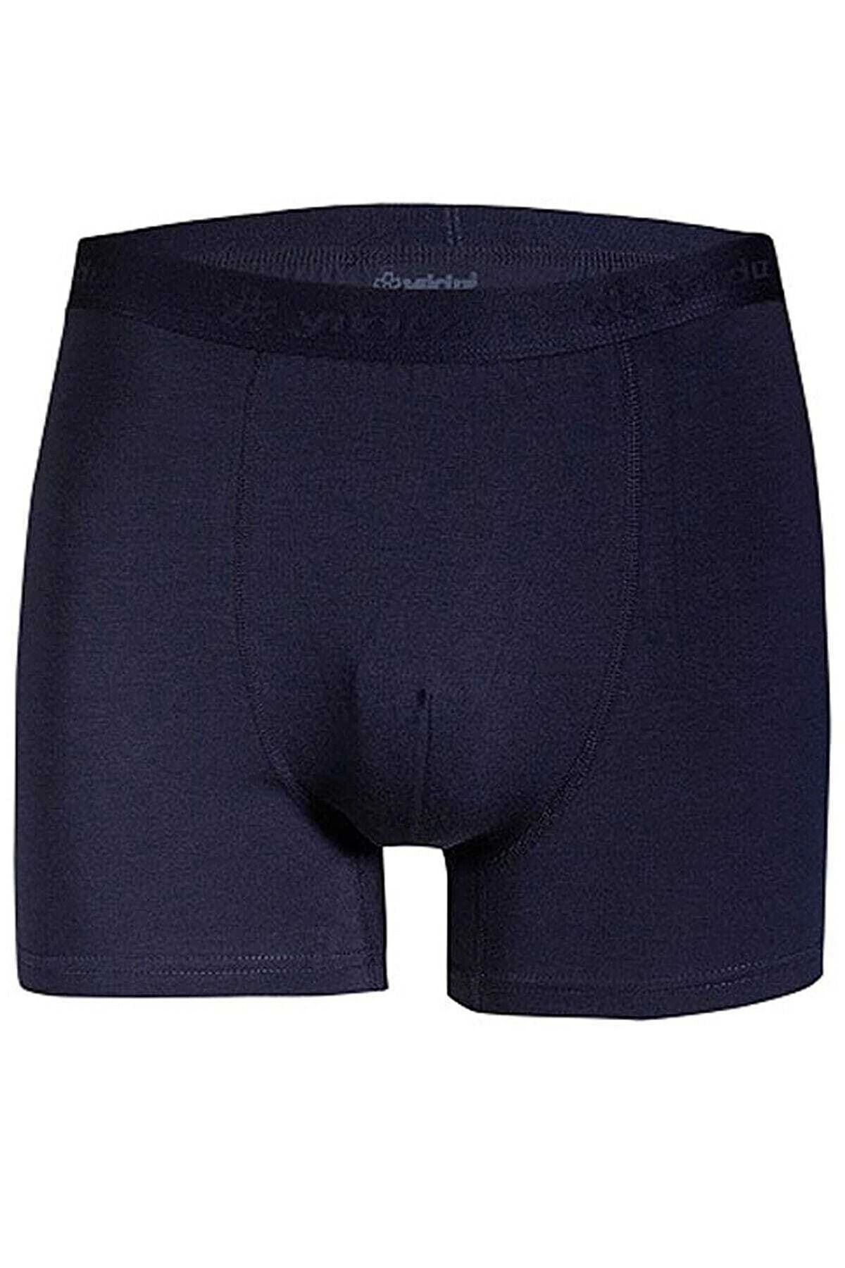 dalinda Star 103 Modal Boxer