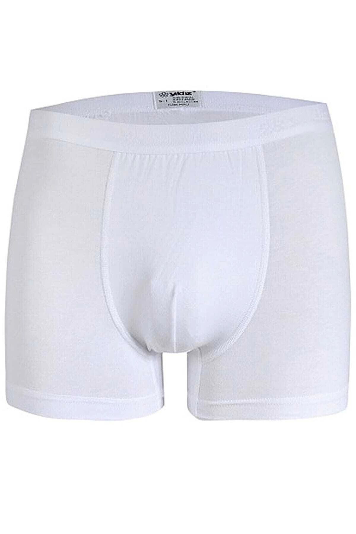 dalinda Star 103 Modal Boxer