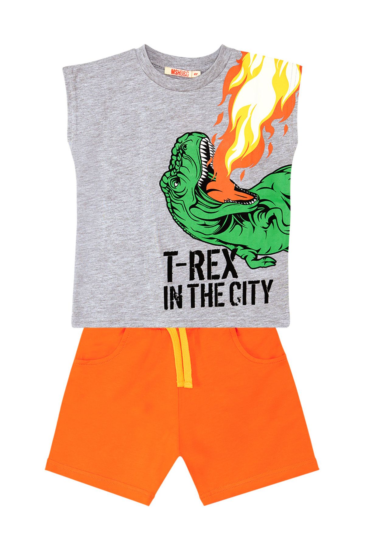 MSHB&G-Letni zestaw T-shirt i spodenki dla chłopca bez rękawów – T-Rex Flame 3