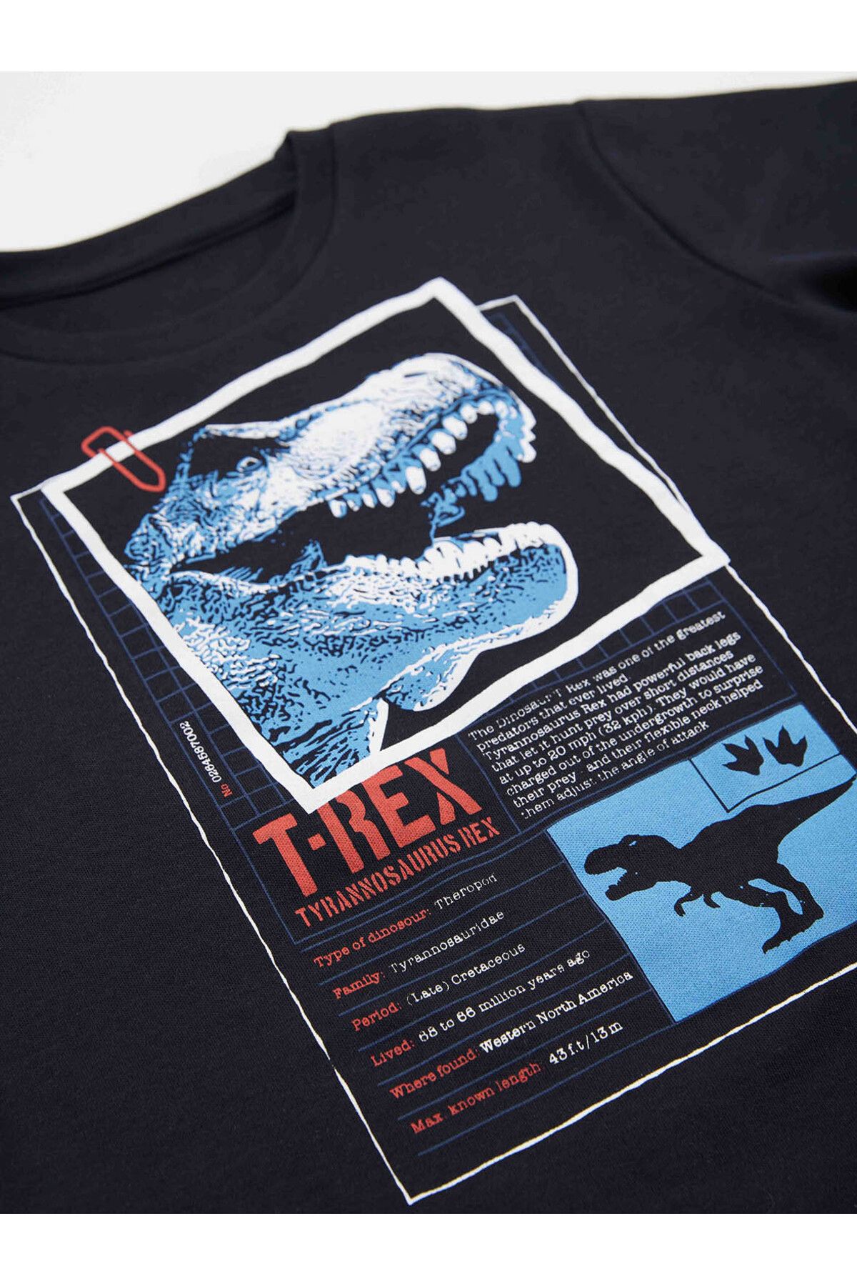 MSHB&G-T-rex Info Boy's T-shirt Capri Shorts Set 5