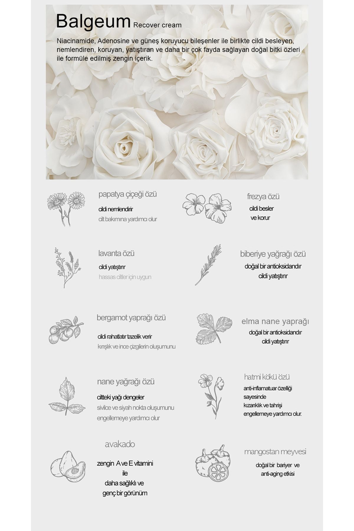 https://cdn.dsmcdn.com/ty1540/product/media/images/prod/QC/20240809/16/94c1c97e-e290-3e3c-bb96-04c2da424a45/1_org_zoom.jpg