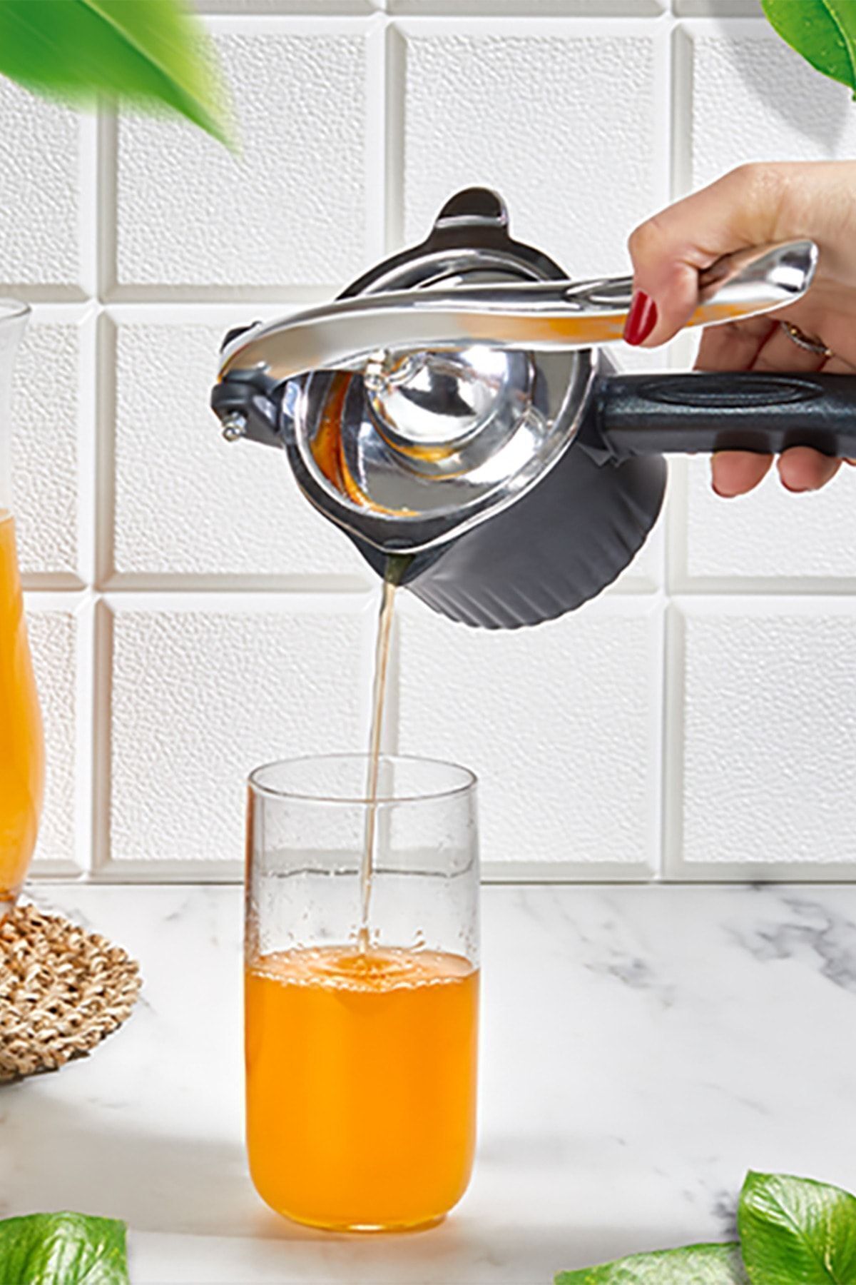 un presse fruit professionnel de frech