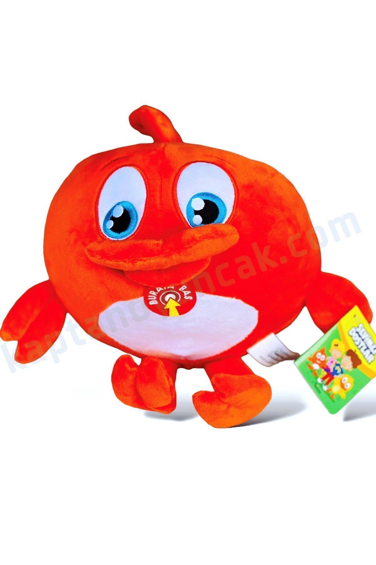 scntoys Sevimli Dostlar Peluş Unutkan Balık Müzikli Lisanslı fotoğrafı 2 (önizleme)