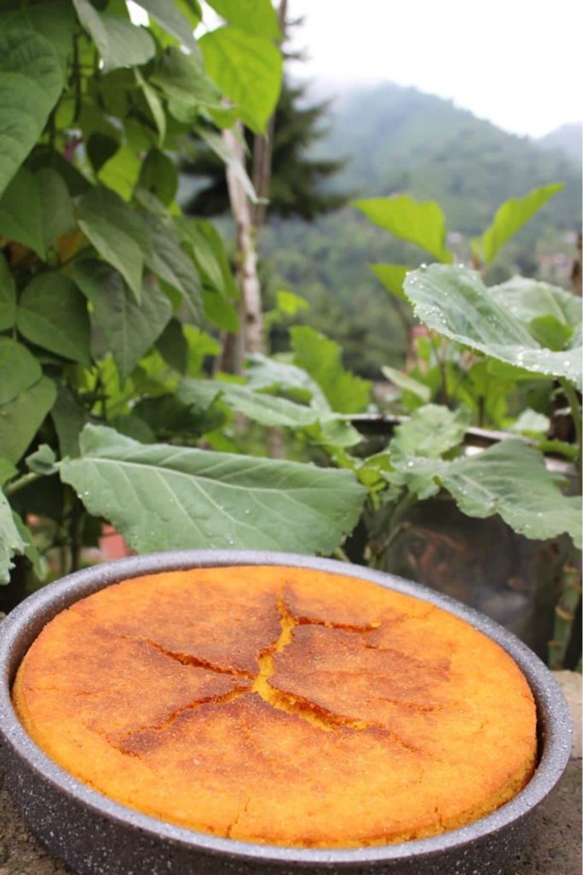 Doğadan sofraya karadeniz Rize mısır ekmegi (1.250gr)