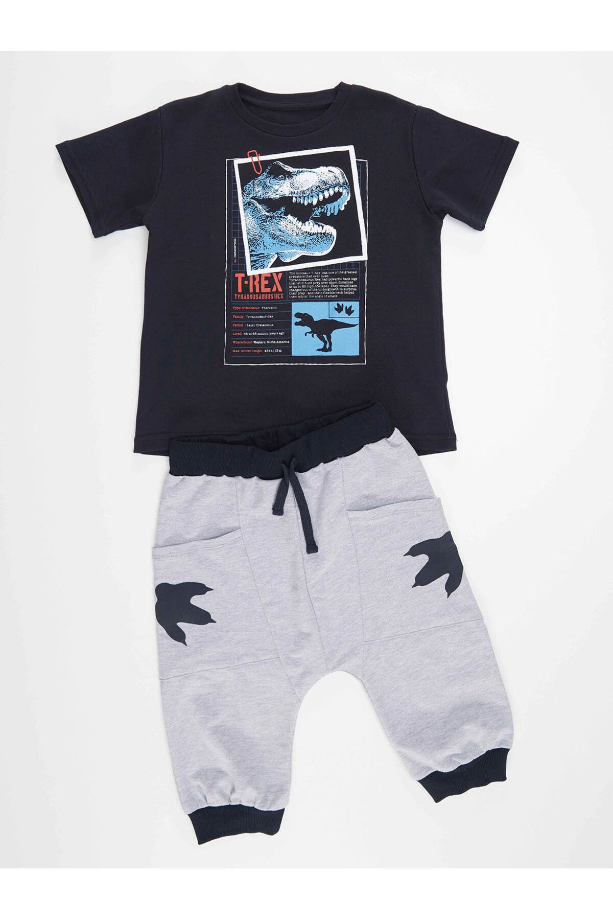 MSHB&G-T-rex Info Boy's T-shirt Capri Shorts Set 3