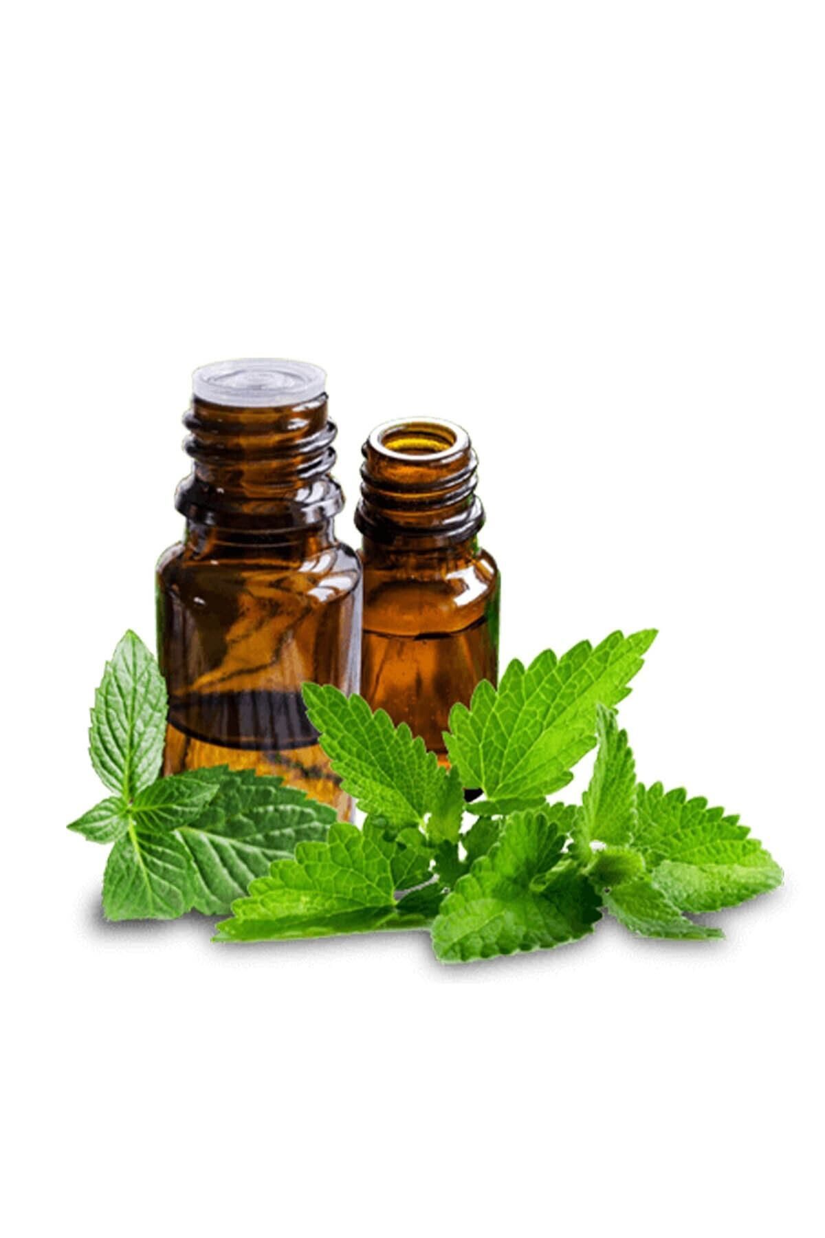 روغن نعناع 20 میلی لیتر Balen