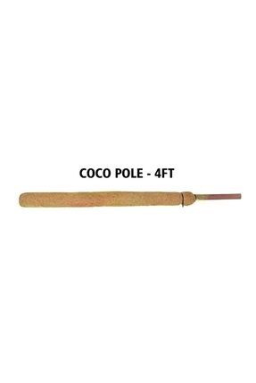 Saksı Mix COCO BİTKİ DESTEKLEME ÇUBUĞU 120 CM (TEK)