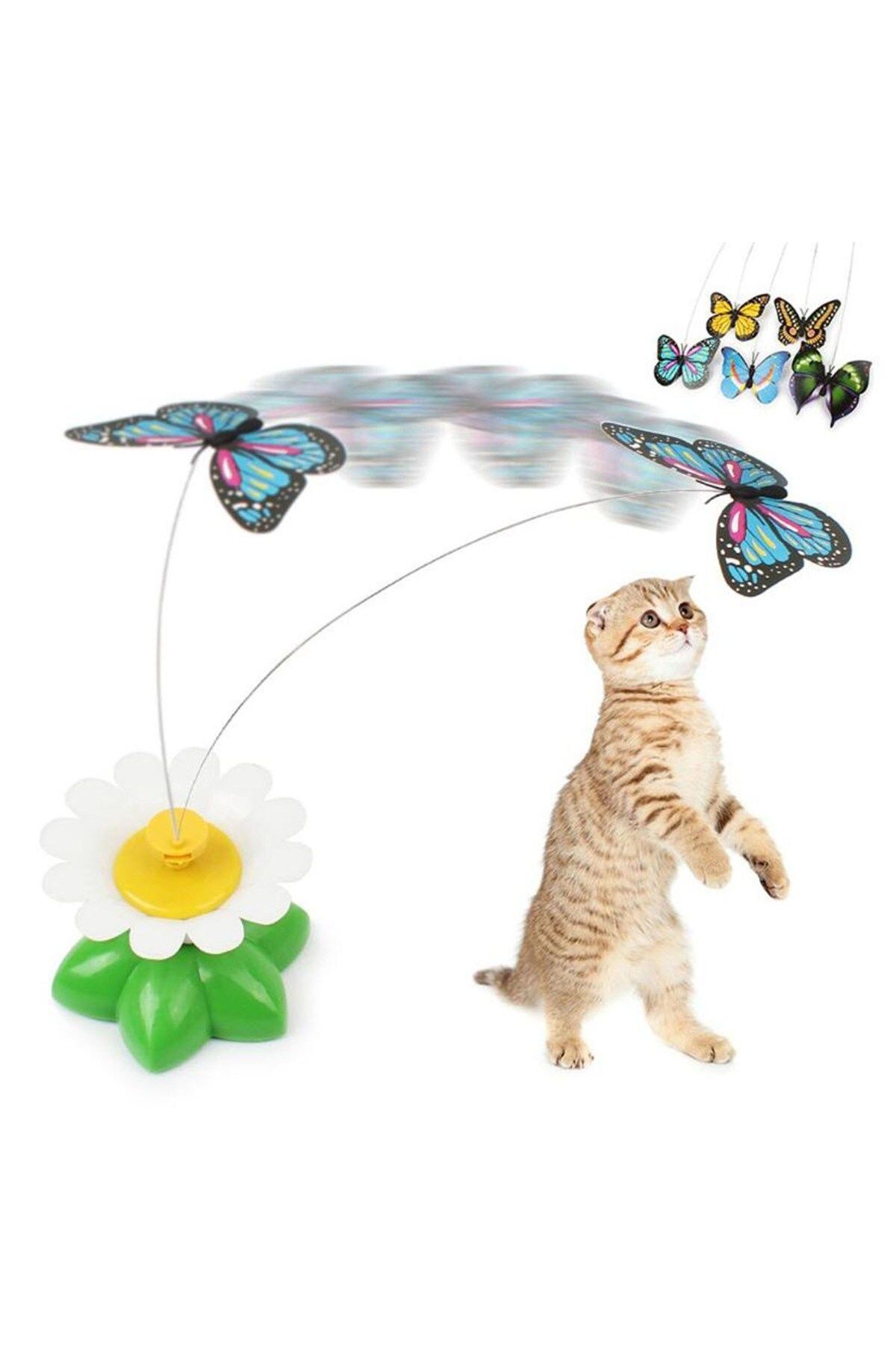 E BULURUM-Moving Rotating Butterfly - Cat Toy (Battery Operated) (5067) 5