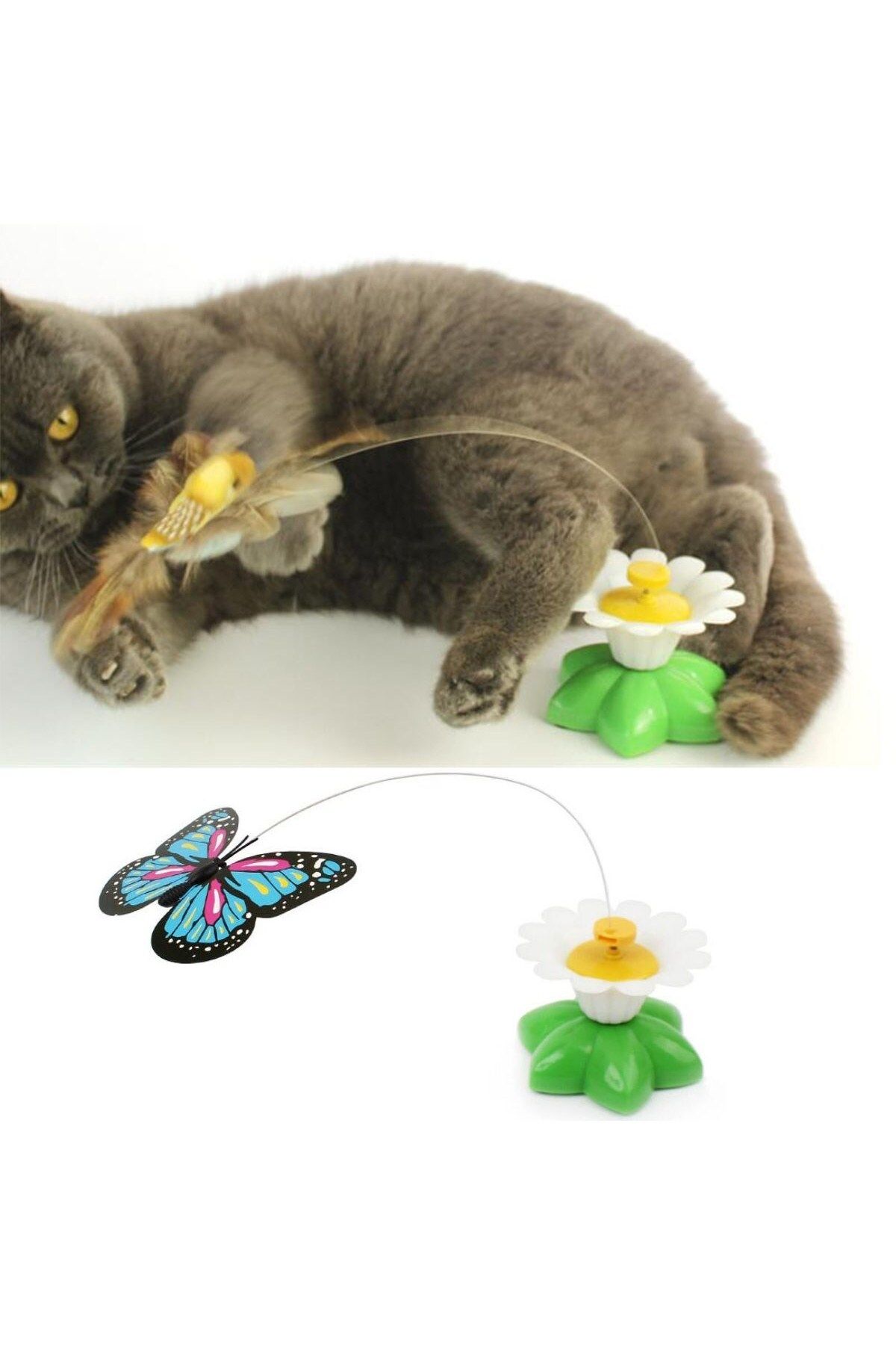 E BULURUM-Moving Rotating Butterfly - Cat Toy (Battery Operated) (5067) 3