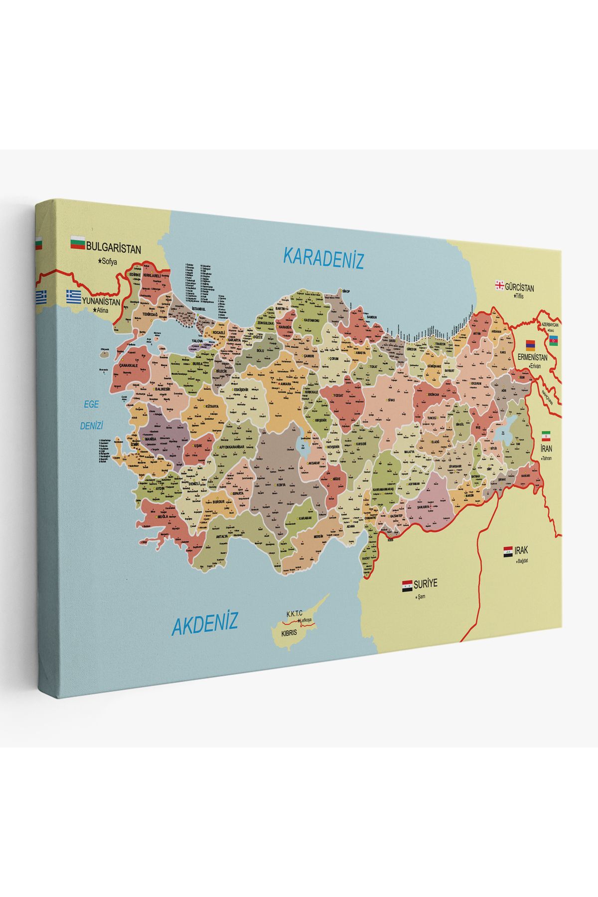 Yarımada Bahçe YB Türkiye Haritası Kanvas Tablo İl ve İlçeli Ayrıntılı Eğitici Komşulu Tablo 3017