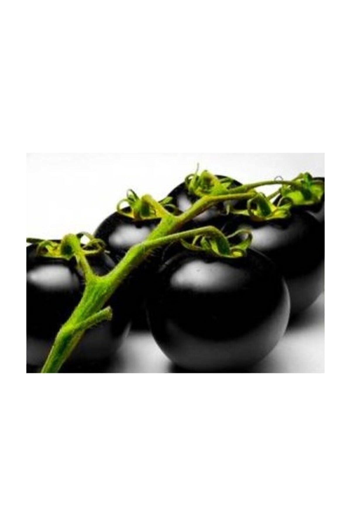 Genel Markalar Siyah Domates Tohumu 5 Adet Tohum Black Tomato