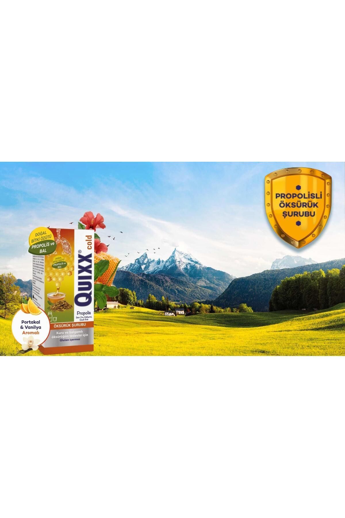 QUIXX-100 ml 3 Pieces Cold Propolis Syrup 2