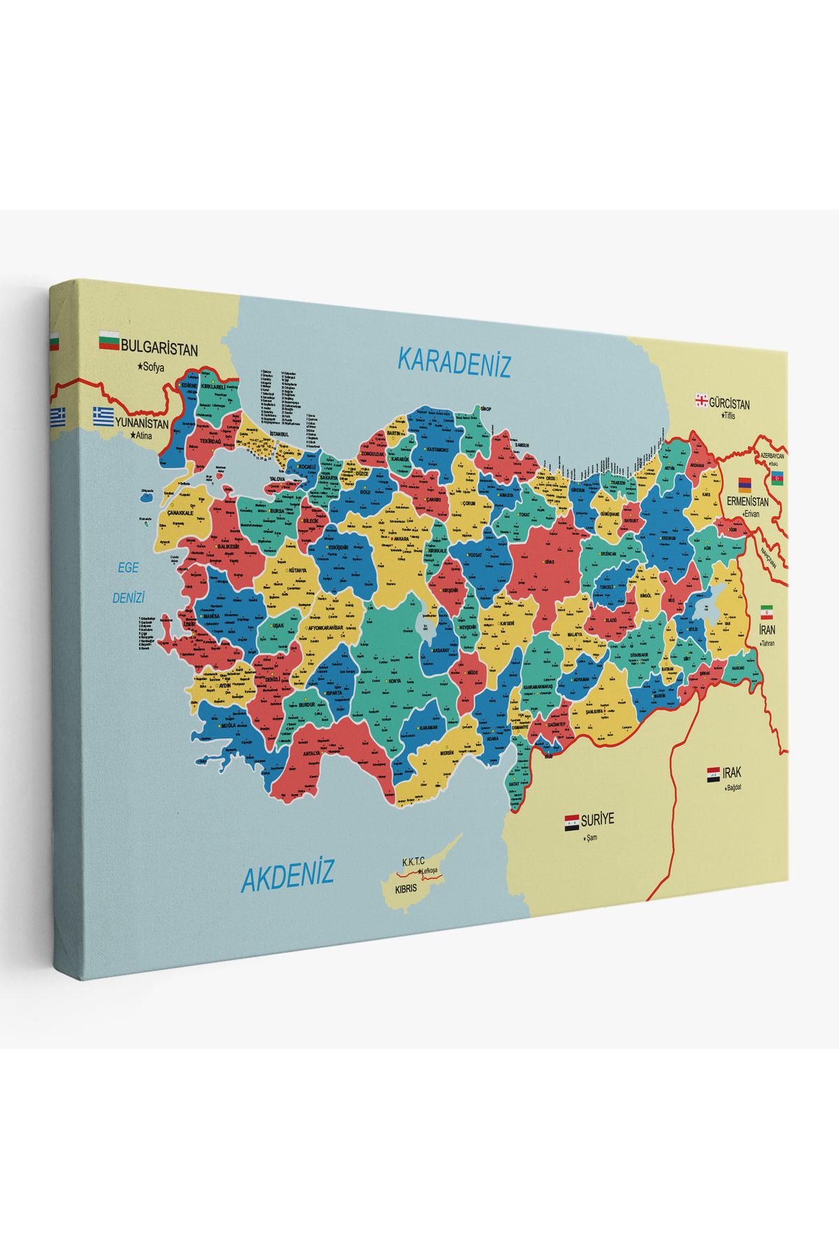 Doğal Bizden DB Türkiye Haritası Kanvas Tablo İl ve İlçeli Ayrıntılı Eğitici Komşulu Tablo 3019