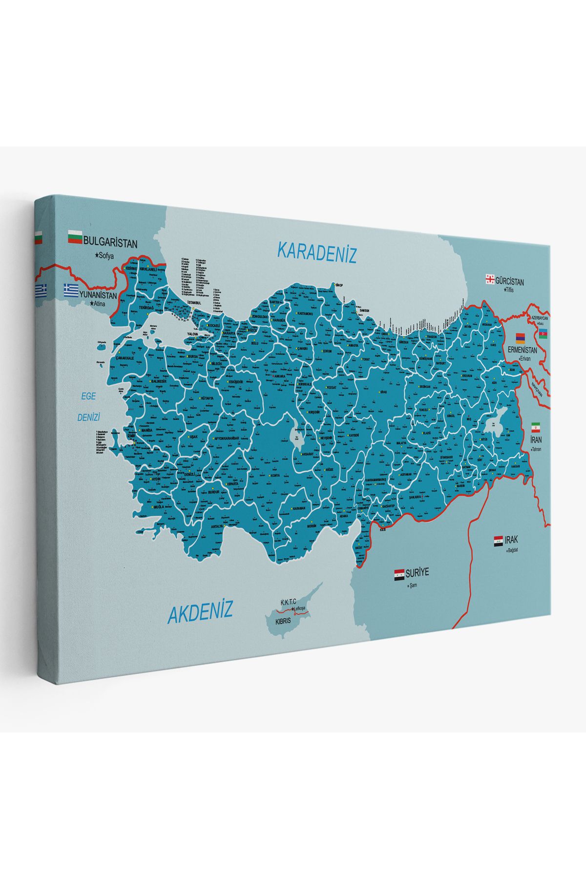 Doğal Bizden DB Türkiye Haritası Kanvas Tablo İl ve İlçeli Ayrıntılı Eğitici Komşulu Tablo 3003
