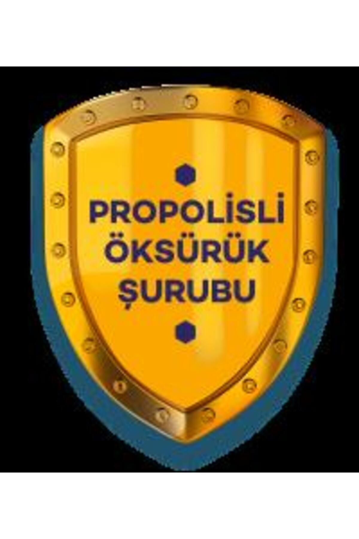 QUIXX-100 ml 3 Pieces Cold Propolis Syrup 4