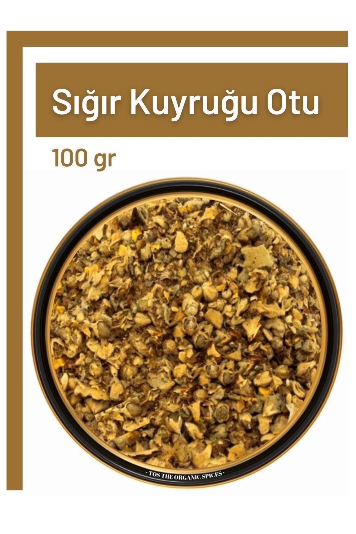 Laura Angel barcha videolar