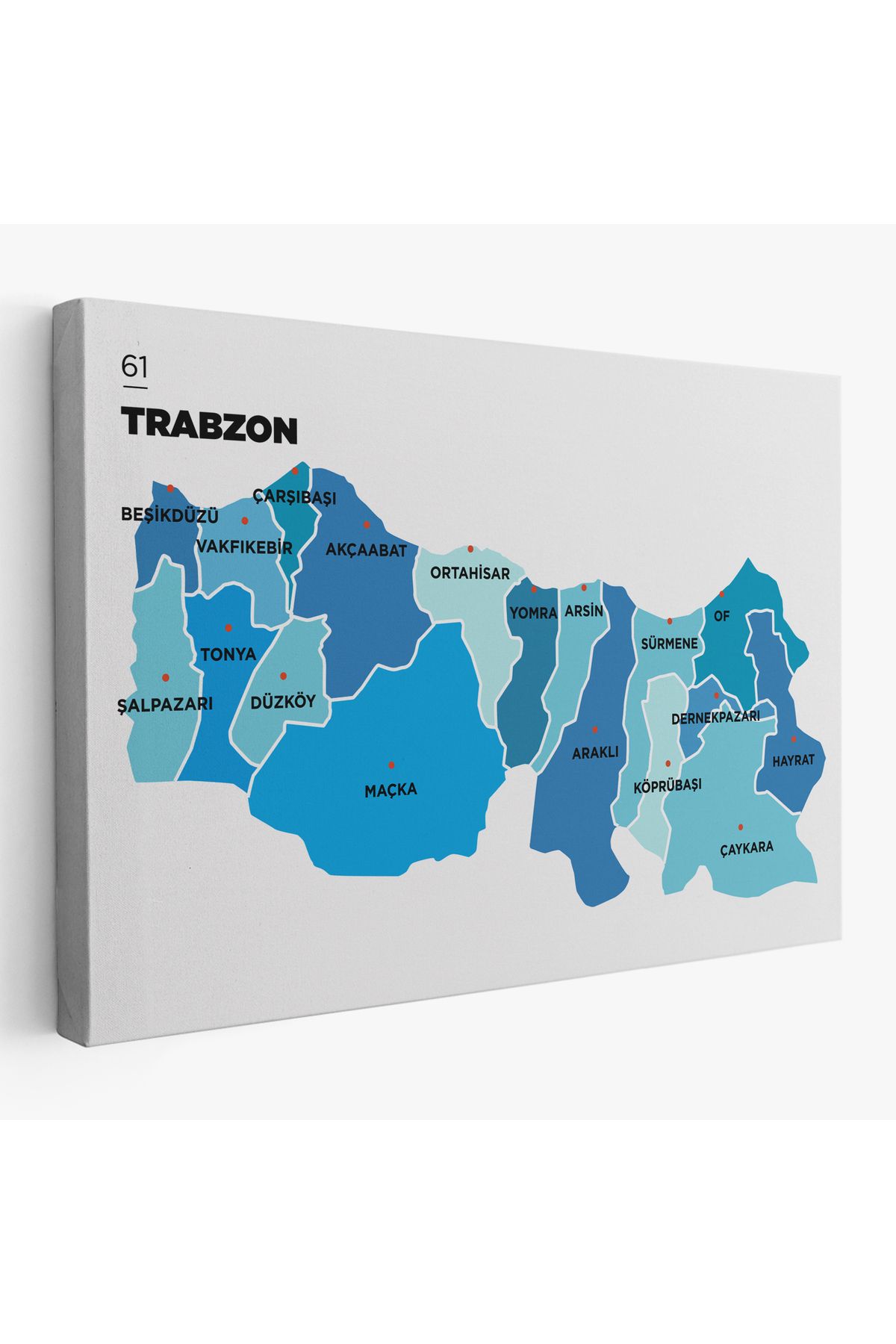 Yarımada Bahçe YB Trabzon İli ve İlçeler Haritası Dekoratif Kanvas Tablo 1471
